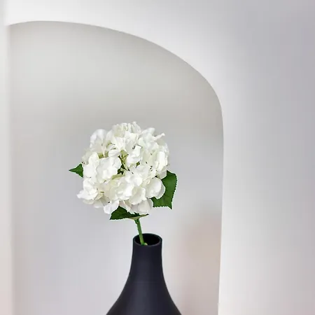 Apartament Le Gambetta - Elegance Et Confort - Vue Sur La Place Stanislas