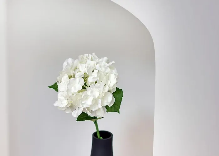 Apartamento Le Gambetta - Elegance Et Confort - Vue Sur La Place Stanislas