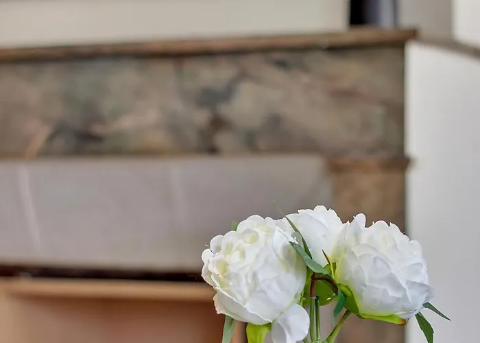 Le Gambetta - Elegance Et Confort - Vue Sur La Place Stanislas *